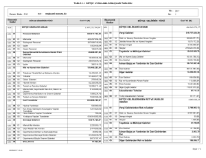 TABLO 1.1 BÜTÇE UYGULAMA SONUÇLARI TABLOSU 408.969