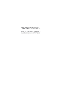 brisa brıdgestone sabancı lastik sanayi ve ticaret a.ş. 30 eylül 2008