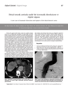 Distal torasik aortada nadir bir travmatik disseksiyon