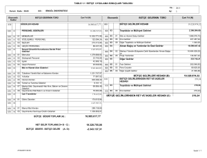 16.985.617,77 19.328.974,32 219,24 BÜTÇE GELİRLERİ HESABI