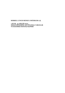 Merrill Lynch Menkul Degerler A.S. 31.12.2014