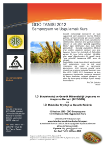 Bilgi Teknolojisi Çözümleri GDO TANISI 2012