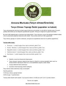 Annona Muricata (Tarçın elması/Graviola) - Herbal D-tox