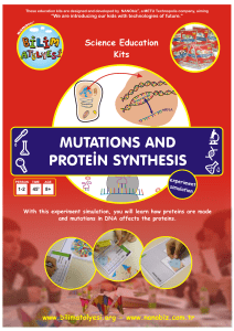 mutations and protei̇n synthesis