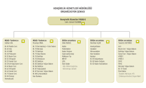 hemşirelik hizmetleri müdürlüğü organizasyon şeması