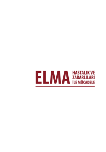 ELMA - Kilis İl Gıda Tarım ve Hayvancılık Müdürlüğü