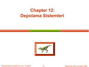 Chapter 12: Depolama Sistemleri