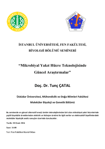 Doç. Dr. Tunç ÇATAL - İstanbul Üniversitesi | Fen Fakültesi