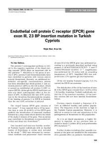 Endothelial cell protein C receptor (EPCR) gene exon III, 23 BP