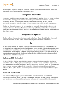 İslamiyet Öncesi Türk Tarihi #1 – YGS Tarih