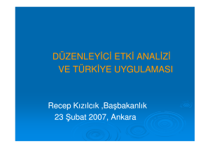 Duzenleyici Etki Analizi ve Turkiye Uygulamasi