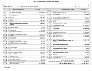 1.1 Bütçe Uygulama Sonuçları Tablosu