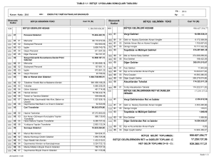 TABLO 1.1 BÜTÇE UYGULAMA SONUÇLARI TABLOSU 956.627