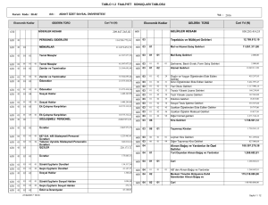 Faaliyet Sonuçları Tablosu - Abant İzzet Baysal Üniversitesi