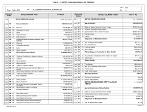 Tablo 1.1.Bütçe Uygulama Sonuçları