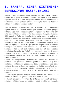 Seks süresini kısaltan sebepler nelerdir Seks süresini kısaltan sebepler nelerdir