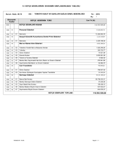 Tablo 1.9. Bütçe Giderlerinin Ekonomik Sınıflandırılması Tablosu