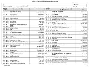 TABLO 1.1 BÜTÇE UYGULAMA SONUÇLARI TABLOSU 4.202