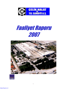 Faaliyet Raporu 2007