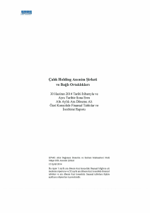 30 Haziran 2014 Bağımsız Denetim Raporu PDF