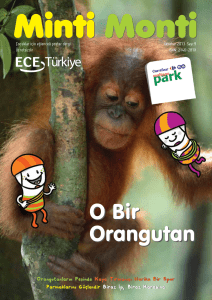 O Bir Orangutan O Bir Orangutan