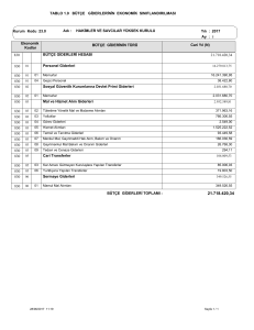 TABLO 1.9 BÜTÇE GİDERLERİNİN EKONOMİK