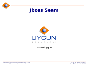 Jboss Seam