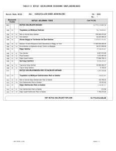 Bütçe Gelirlerinin Ekonomik Sınıflandırılması