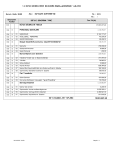 bütçe giderlerinin ekonomik sınıflandırılması tablosu