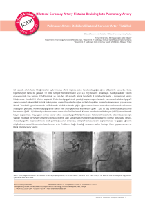 Bilateral Coronary Artery Fistulas Draining Into Pulmonary Artery