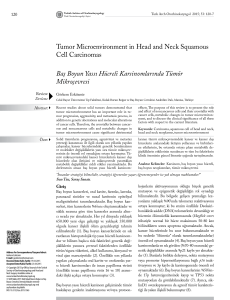 Tumor Microenvironment in Head and Neck Squamous Cell