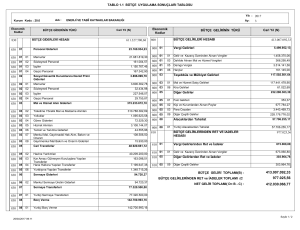 1.1 Bütçe Uygulama Sonuçları Tablosu