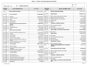 1.1 Bütçe Uygulama Sonuçları Tablosu