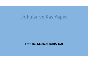 Dokular ve Kas Yapısı - Prof. Dr. Mustafa Karahan