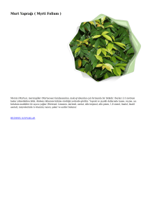 Murt Yaprağı ( Myrti Folium )