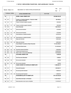 1.7 Bütçe Giderlerinin Fonksiyonel Sınıflandırılması Tablosu