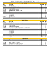 DİJİTAL EKONOMİ VE PAZARLAMA YÜKSEK LİSANS (Tezli