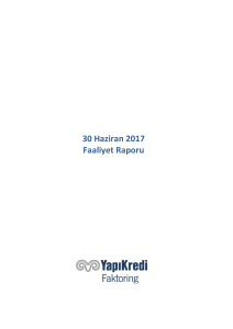 30 Haziran 2017 Faaliyet Raporu