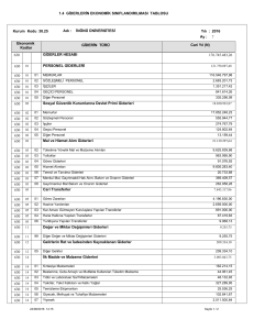 1.4 GİDERLERİN EKONOMİK