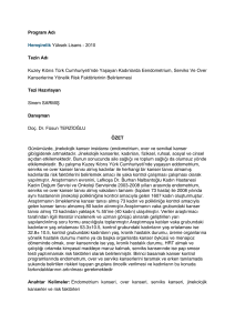 2010 Tezin Adı Kuzey Kıbrıs Türk Cumhuriyeti`nde Yaşayan