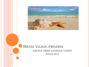 Deniz yıldızı projesi - Erzurum Aşkale İMKB Anadolu Lisesi
