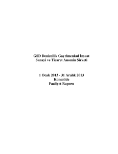 31 Aralık 2013 Konsolide Faaliyet Raporu