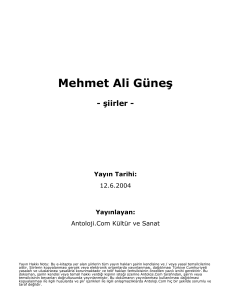 Mehmet Ali Güneş