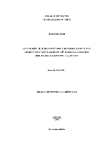 ANKARA ÜNİVERSİTESİ FEN BİLİMLERİ ENSTİTÜSÜ DOKTORA