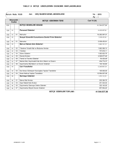 TABLO 1.9 BÜTÇE GİDERLERİNİN EKONOMİK