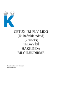 19 Cetux-Iri-FLv-mdg 2 v Turkiska