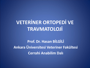 Süngerimsi Kemik Otogrefti - Ankara Üniversitesi Açık Ders