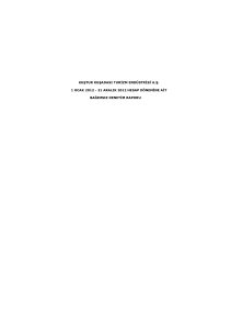 31 aralık 2012 hesap dönemine ait bağımsız denetim raporu