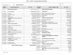 TABLO 1.1 Bütçe Uygulama Sonuçları Tablosu