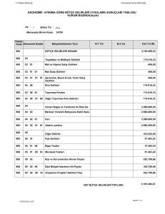 EKONOMİK AYIRIMA GÖRE BÜTÇE GELİRLERİ UYGULAMA